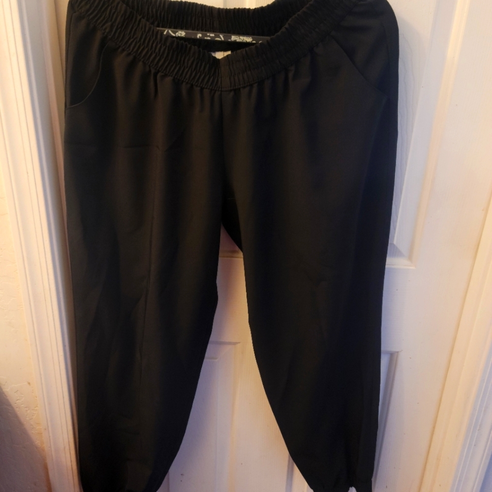 Ladies polyester/ spandex large pants , they do have the cute elastic bottom.